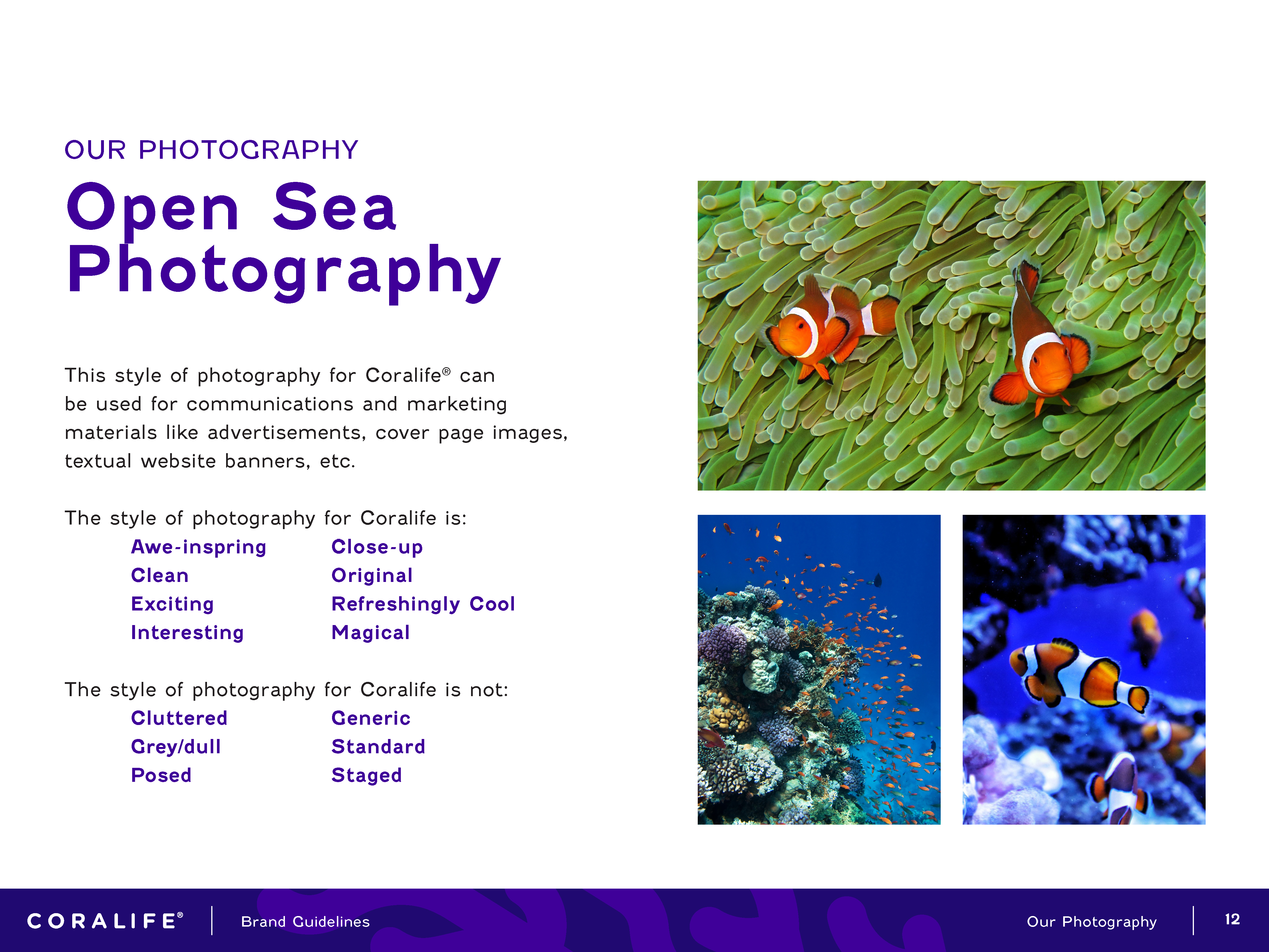 Coralife-Brand-Guidelines_Page_12